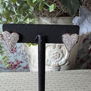 Heart Shaped Stainless Steel Earrings NWOT